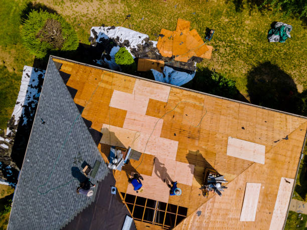 Best Best Roofing Contractors  in Merrill, IA