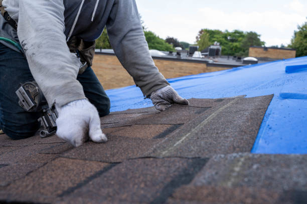Best Commercial Roofing Services  in Merrill, IA