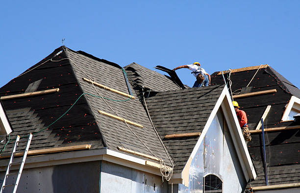 Best Local Roofing Companies  in Merrill, IA