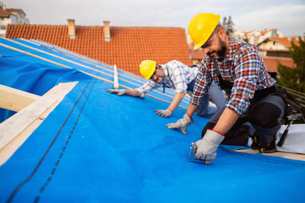 Best Roof Gutter Cleaning  in Merrill, IA